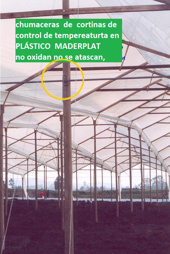 chumacera plástica maderplast para cortina de climatización flores en invernadero sistema de control de temperatura chumacera plástica maderplast para enrollar elevar cortina de ventilación 000 chumacera plástica maderplast para cortina de climatización flores en invernadero chumacera plástica maderplast para cortina de climatización flores en invernadero sistema de control de temperatura chumacera plástica maderplast para enrollar elevar cortina de ventilación 000 sistema de control de temperatura chumacera plástica maderplast para enrollar elevar cortina de ventilación 000